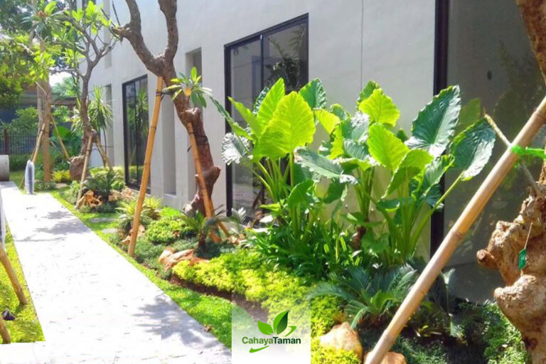 Tukang Taman Cibubur